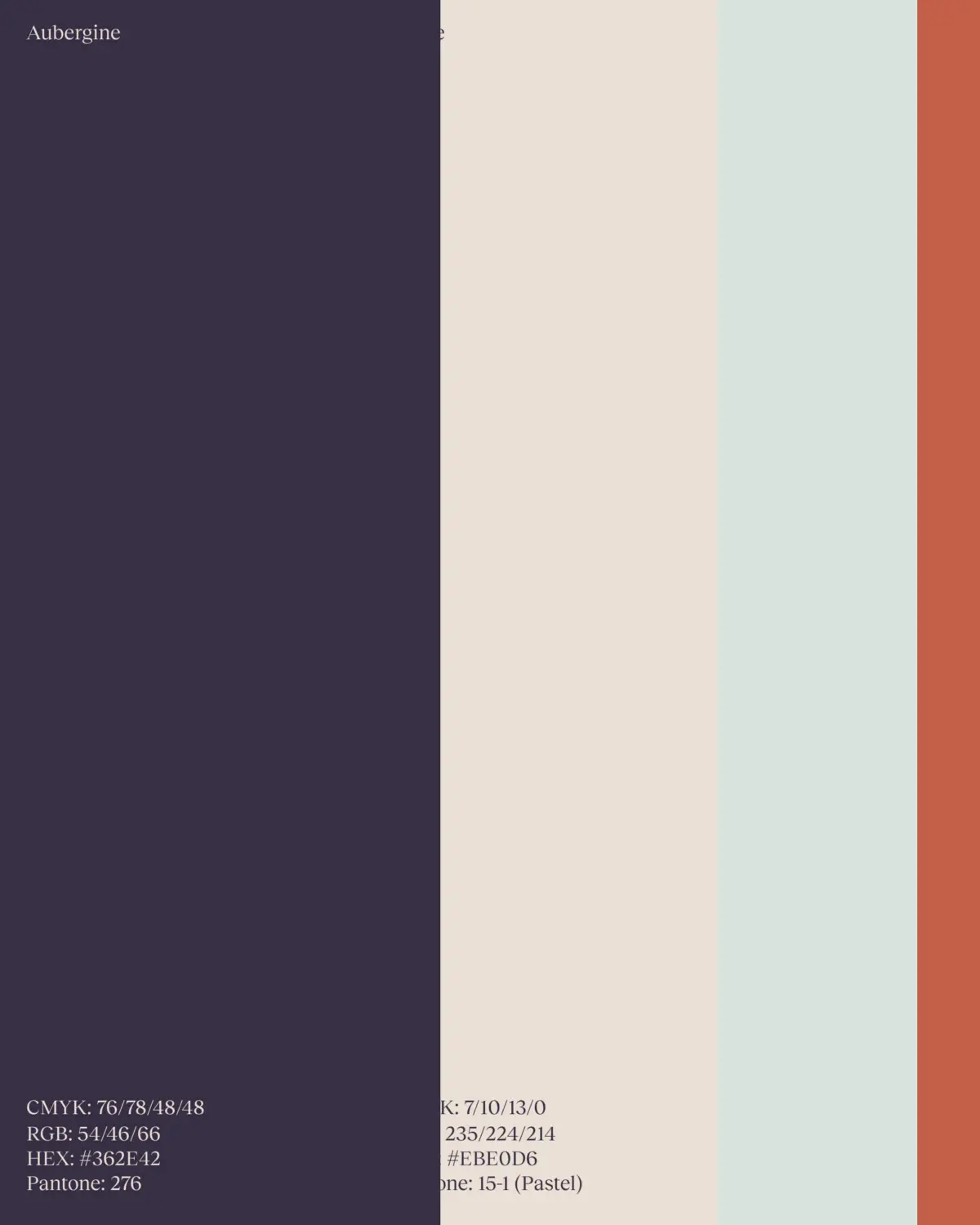 Video showing the colour palatte for the identity