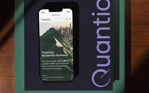 Professional-Services-1